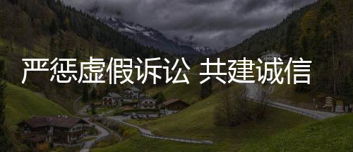 形成治理虚假诉讼合力
