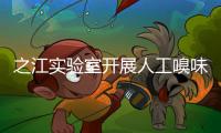 快排公司十年历程，霸屏兔 seo 的崛起与坚守