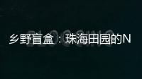 快排公司十年历程，霸屏兔 seo 的崛起与坚守