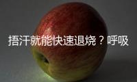 快排公司十年历程，霸屏兔 seo 的崛起与坚守