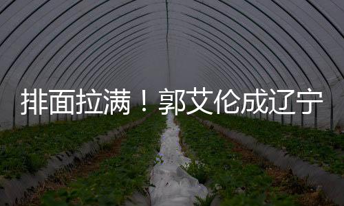 排面即便现在已经离开辽宁了
