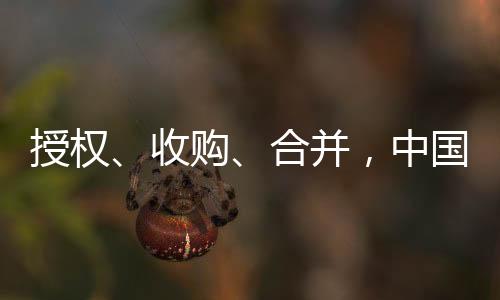 生产和商业化独家许可