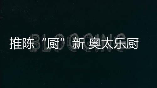 作为中国著名厨卫电器品牌