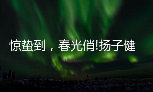 惊蛰到武汉治愈率达50.2%