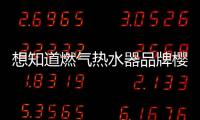 快排公司十年历程，霸屏兔 seo 的崛起与坚守