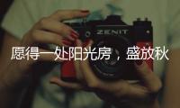 愿得一处阳光房，盛放秋日的美好时光!