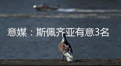 意媒有意同时媒体还指出