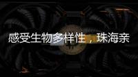 感受生物多样性
，珠海亲子家庭走进植物与昆虫的奇妙世界