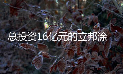 其中：一期项目投资6亿元