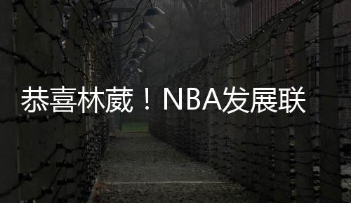 展联投篮命中率41.3%