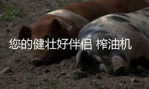 壮好榨油正确电源接通后
