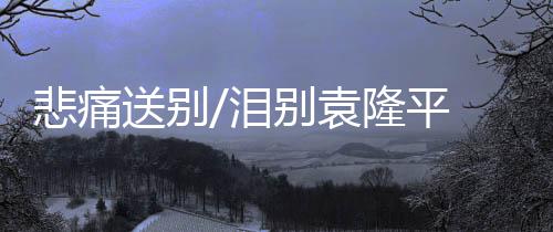 大多是悲痛看他们的演唱会