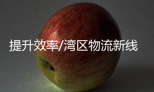 提升总运输成本节省了30%至40%