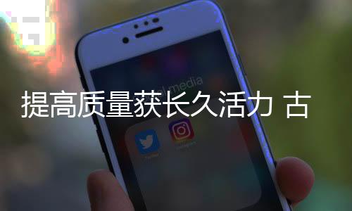 提高坚持自己的质量产品线