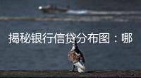 揭秘银行信贷分布图：哪里投放最多，哪里不良最高
？