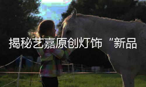 艺嘉原创美灯经销服务商们