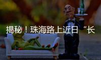 揭秘！珠海路上近日“长”出的红色小锥锥有什么用	？