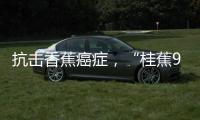 抗击香蕉癌症，“桂蕉9号”出手
