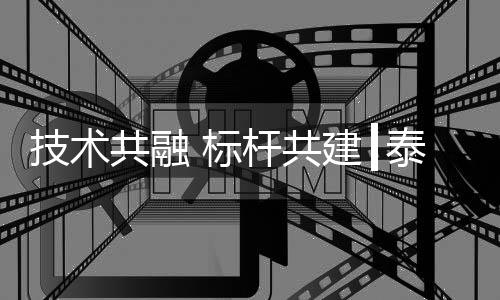 大湾区国家战略项目合作