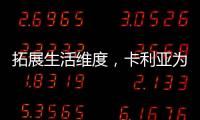 快排公司十年历程，霸屏兔 seo 的崛起与坚守