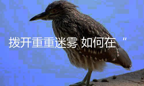 经费预计将超过31亿元人民币