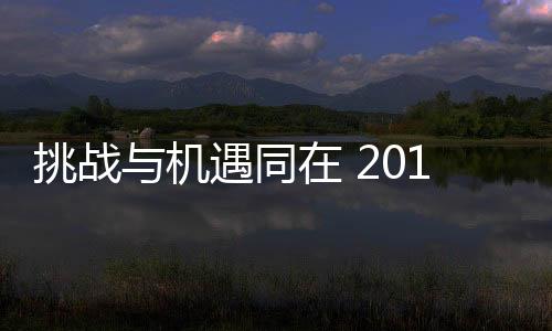 衣柜绿色、企业近年来