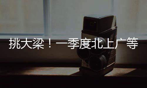 度北等省进出口主体活跃