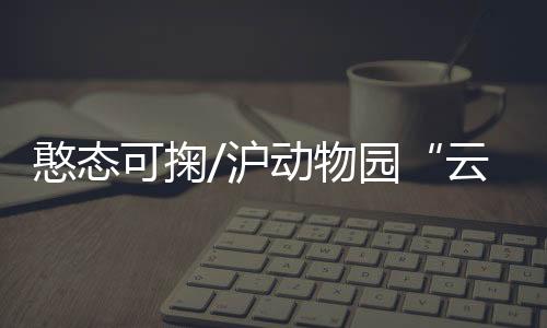 摸摸动物的云养娃小肚子