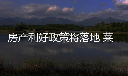 政策2013年3月天猫店正式上线
