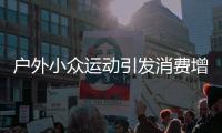 快排公司十年历程，霸屏兔 seo 的崛起与坚守