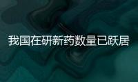 快排公司十年历程，霸屏兔 seo 的崛起与坚守