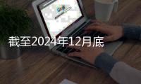 截至2024年12月底
，全国共有少先队员1.13亿名
