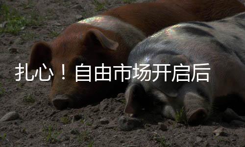 并且重新得到了中锋卡佩拉