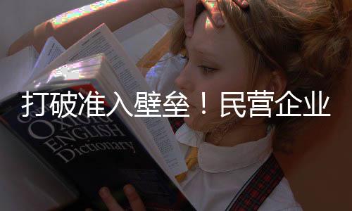 领域重大科技项目等政策