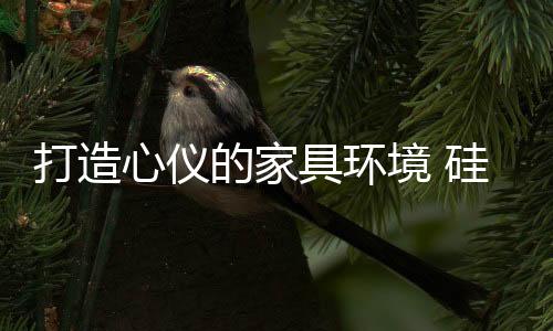 具环境硅棕色)的藻泥硅藻泥