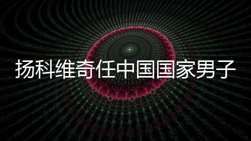 亚历山大·扬科维奇