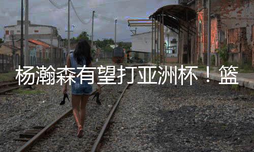 在这样的杨瀚亚洲情况下
