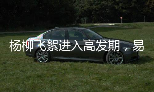04飞絮还容易引发火灾