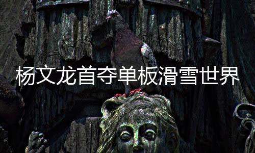 夺单当地时间11日晚