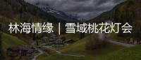 快排公司十年历程，霸屏兔 seo 的崛起与坚守