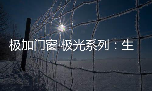 如同极光般坚韧而强大