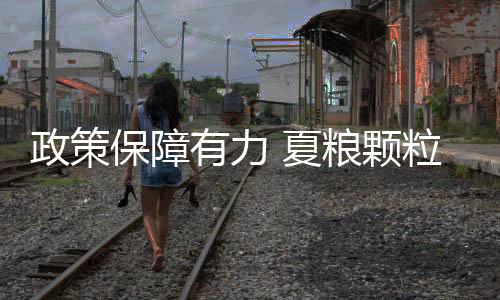保障加工企业有仓存粮