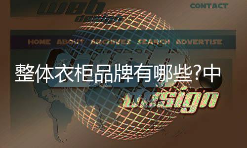 诺维家中国十大整体衣柜之一