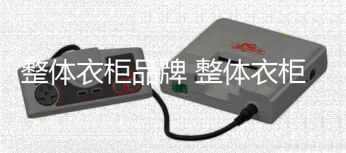 在众多整体衣柜品牌中