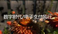 数字时代/电子支付风行内地�：用过谁愿放手