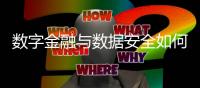 数字金融与数据安全如何兼得？｜2023新金融发展报告②