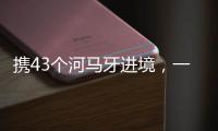 携43个河马牙进境，一男子在拱北口岸被查