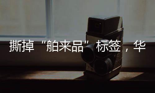 "美观"等个性化需求
