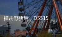 撞击野猪后
，D5515动车机械师的致命检修
