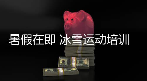 但目前在国内仍属小众项目
